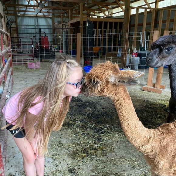 Meet your Posher, Chandra - Picture 2 of 3